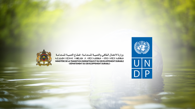 {{ project_page.title }}